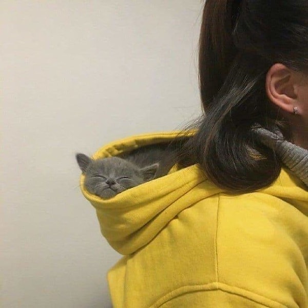 22. Идеальная переноска для такого малютки.