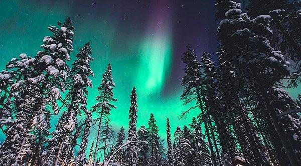 Laponya Kuzey Işıkları - Rovaniemi- Finlandiya