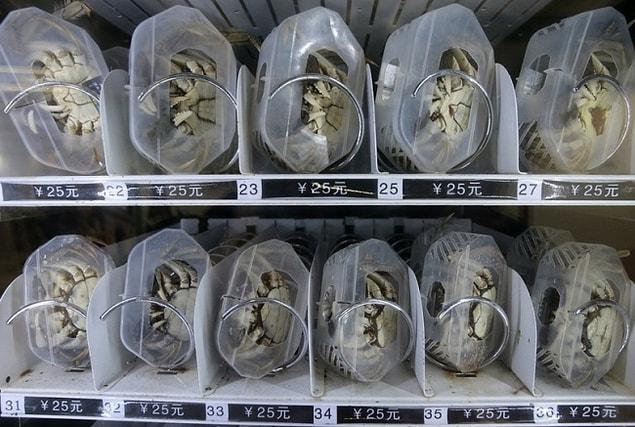 2. Some Chinese cities have vending machines that sell live crabs in plastic.