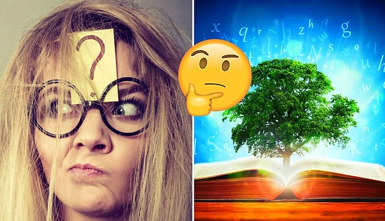 Тест на эрудицию: Не называйте себя образованным человеком, если не сможете пройти 80%