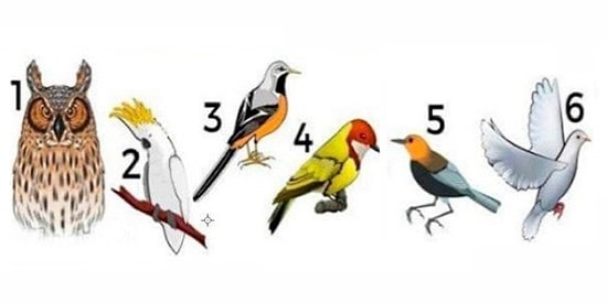 Тест: Выберите птицу и узнайте свое послание дня