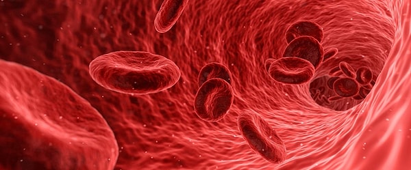 7. Какой может быть группа крови ребенка при условии, что у его родителей группы крови 0 и АВ?
