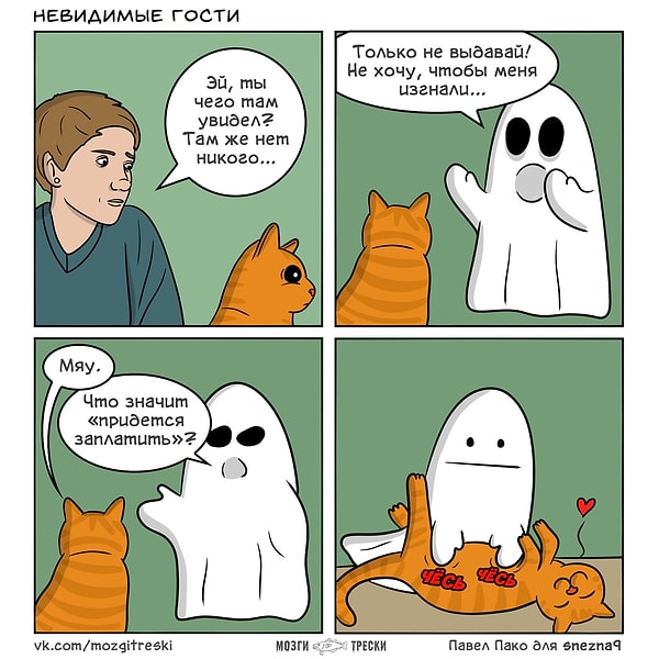 14. Так вот в чем дело