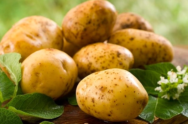 6. Картофель - это...