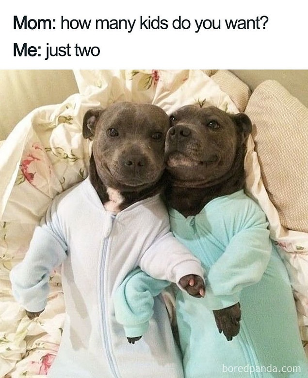 11.