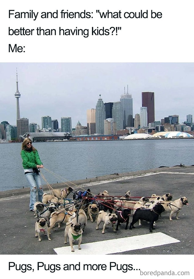 27.