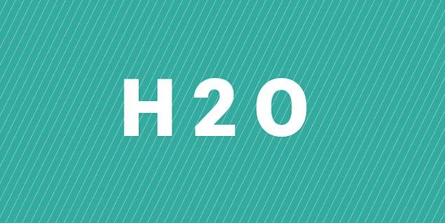 1. H2O neyin formülüdür?