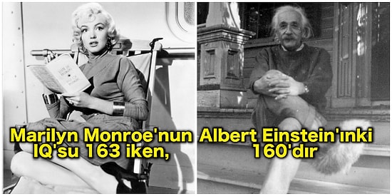 Kızıllardan Etkilenebilen Orangutanlar, Dolandırılan Dolandırıcılar! Duyunca Ağzınızın Açık Kalacağı 10 Şaşırtıcı Gerçek
