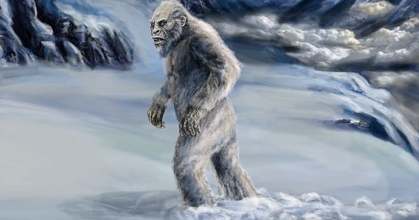 1. Снежный человек