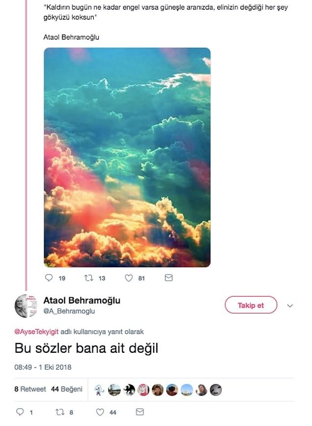 8. Kaçın sahibi geldi.