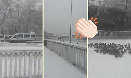 Zonguldak Belediyesi'nden Dünyayı Güzelleştiren Anons: 'Yoğun Kar Yağışı Nedeniyle Sokak Hayvanları İçin Uygun Yerlere Yemek Konulması Rica Olunur'