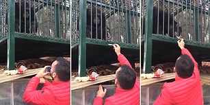 'Maymuna Sigara İkram Eden Kişi'nin Videosu Tepkilerin Odağında!