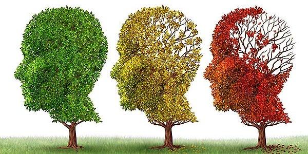 10. Alzheimer hastalığı olan yetişkinlerde hafızayı güçlendirebilir.