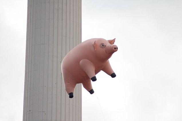 1. In 1977, the band Pink Floyd tied a giant inflatable pig to a power station as a publicity stunt. The pig broke free and floated over Heathrow Airport, where all flights had to be grounded to avoid collisions with the pig.
