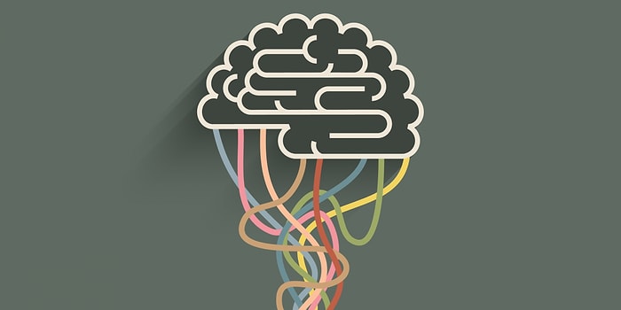 Тест: Есть 6 типов интеллекта: к какому относится ваш?