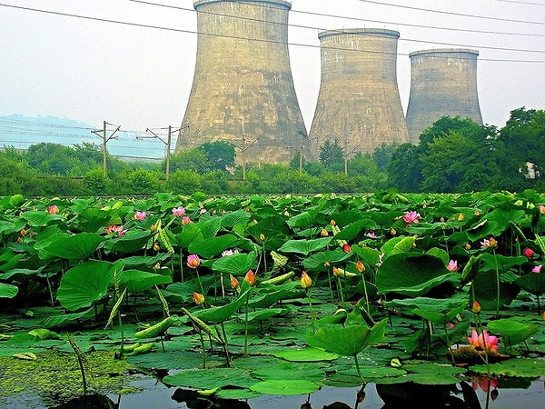 46. Озеро Карасиное, Артем, Дальний Восток