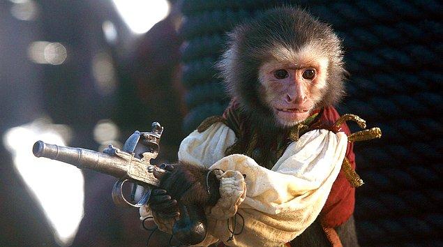 İyi bir eğitimden geçirilen maymunlar, benzersiz görme yetenekleriyle yaklaşan tehlikeleri insanlardan çok daha kolay görebiliyordu.