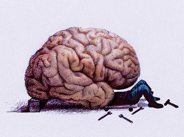 К сожалению, ваш мозг не одарён от природы. Чтобы достичь успеха, вам нужно регулярно упражняться...