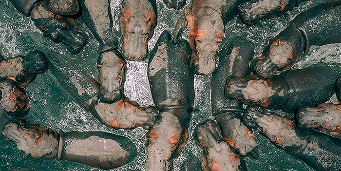 21 лучшее дрон-фото с международного конкурса Dronestagram 2018