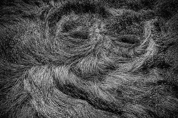 7. "Лицо в зерновом поле"