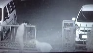 Gece Yarısı Titreyerek Yanına Gelen Köpeğe Montunu Veren Güvenlik Görevlisi