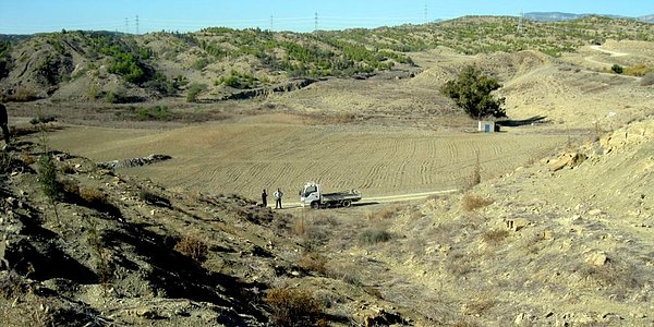 "Hükümetin diktiği fidanlar ormana dönüşmüyor"