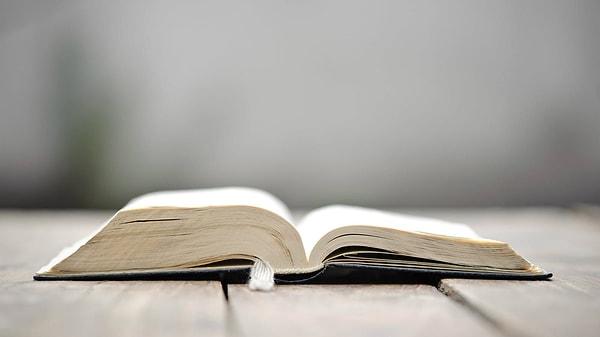 6. Что обозначает слово чартизм?