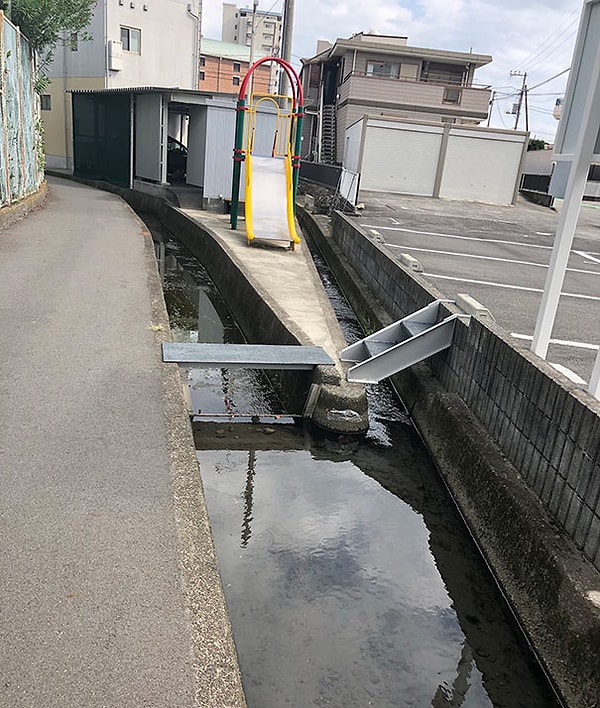 14. Вы это тоже видите?!