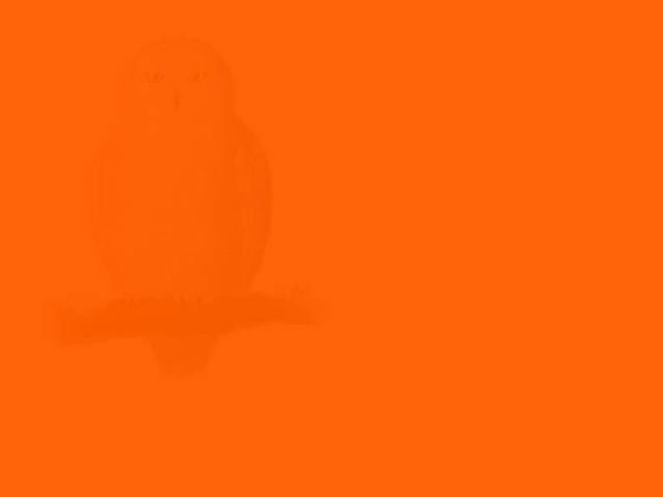 1. Что вы здесь видите?