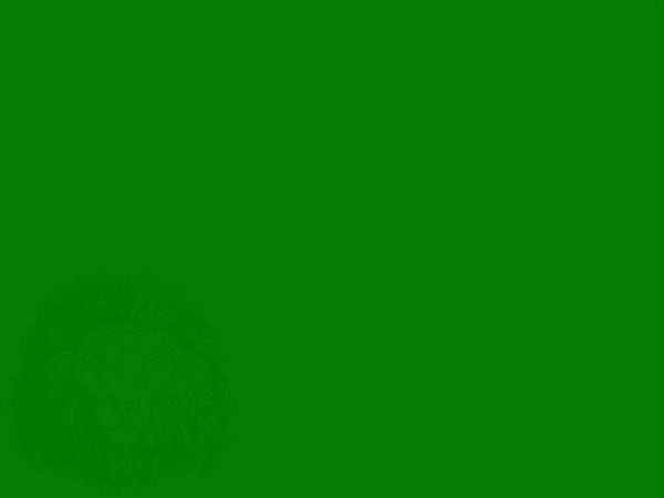 4. Что скажете?