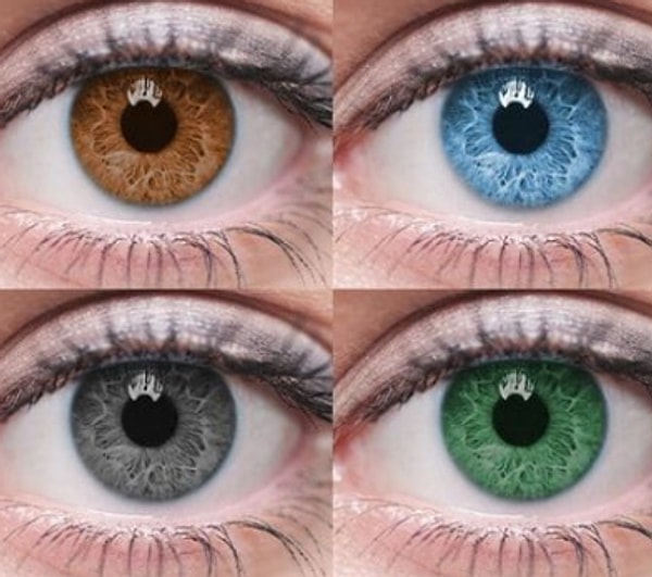 1. Какого цвет ваши глаза?