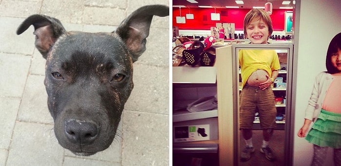 20 фоток, герои которых стали жертвами неправильного ракурса