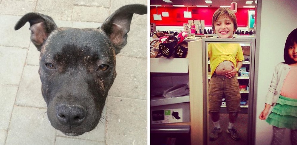 20 фоток, герои которых стали жертвами неправильного ракурса