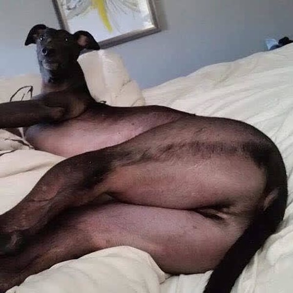 19. Мдааа уж...