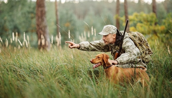 4. Что собирают при так называемой тихой охоте?