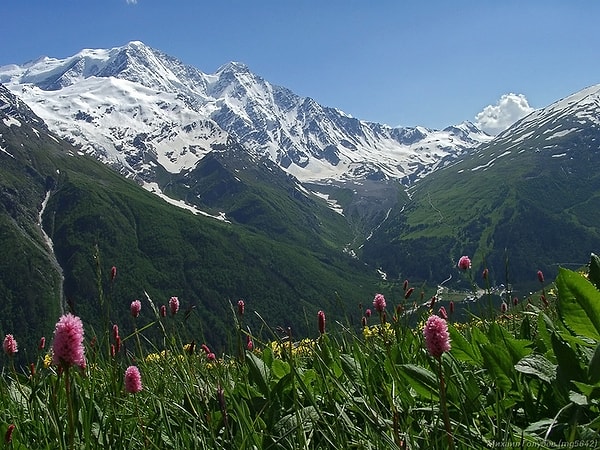 5) Высочайшая вершина кавказских гор?