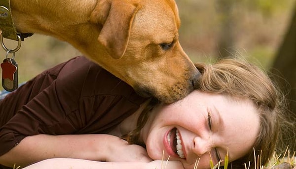 Кроме того, у собаки очень сильный спасательный инстинкт. Это было доказано миллионы раз!