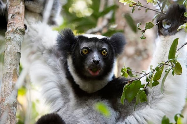 7. Кто это у нас?