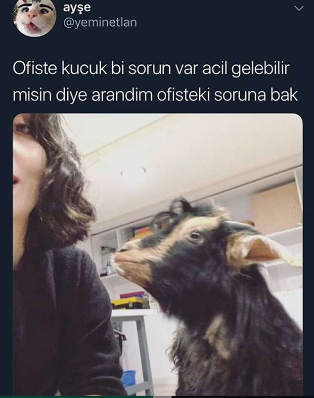 14. Küçük bir sürpriz.