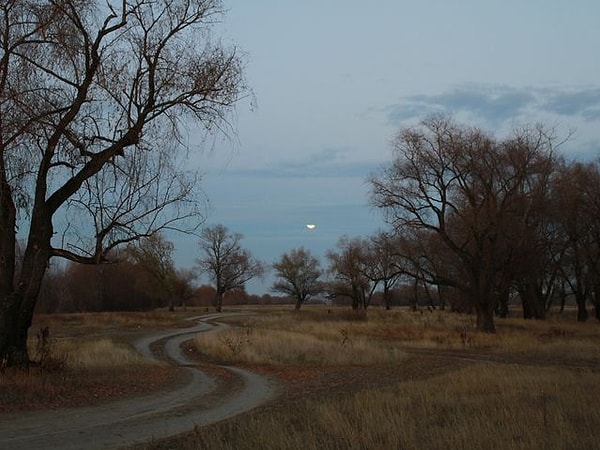 5. Сколько часовых поясов в России?