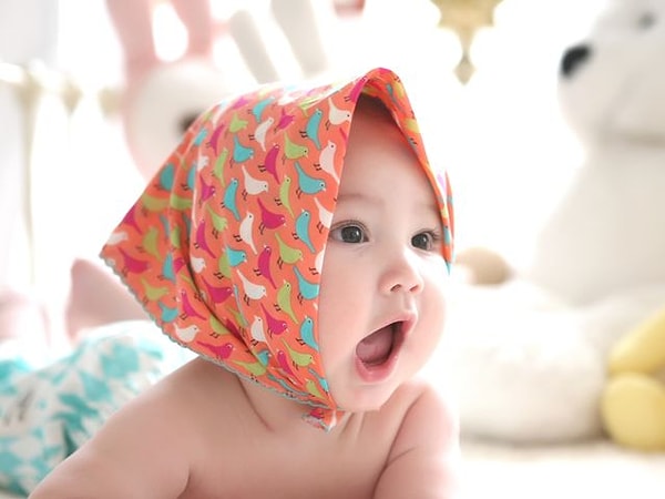 7. В какой стране самый высокий коэффициент рождаемости?