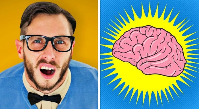 Тест на интеллект: Ваш IQ явно выше среднего, если вы сможете набрать 10/14