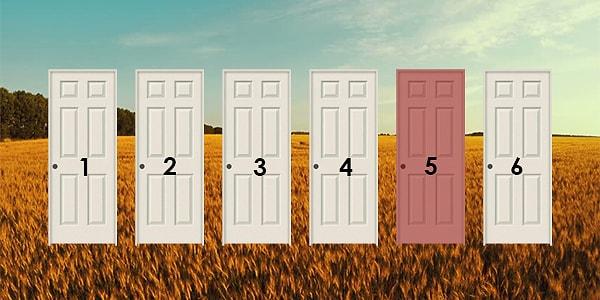 7. Bu kapılardan bir tanesinden geçeceksin ve bu kapı hayatını değiştirecek; hangisini seçerdin?