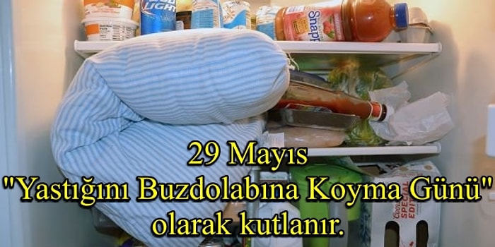 Acayip Bilgiler Kuşağında Bu Hafta: İsviçreli Bilim Adamları Gibi Hissetmenize Neden Olacak 20 Aydınlatıcı Gerçek