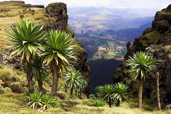 5. Туристы называют эту страну Страной 13 месяцев солнца, потому что государство страдает от засух. К основным природным достопримечательностям относятся живописное озеро и водопады на крупнейшей реке. Главная товарная культура страны — кофе.