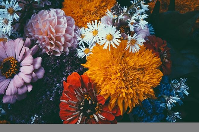 Hangi Durumda Hangi Çiçeği Yollayacağınızı Biliyor musunuz? :) 9 Maddede Çiçekler ve Anlamları