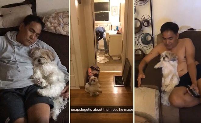 'Eve Köpek Alalım' Teklifine Karşı Çıktıktan Sonra Babanın Sahiplenilen Köpekle Olan Muhteşem İlişkisi