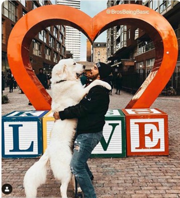 4. Признайтесь, у вас есть такая фотка!