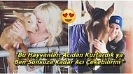 Güzel Şeyler de Oluyor! Hayvanlara Alerjisi Olmasına Rağmen Bir Barınak Kurup İhtiyacı Olan Bütün Canlılara Bakan Kadın