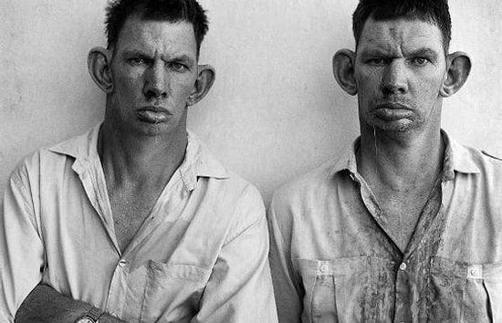 Palu Ailesinin Okyanus Ötesi Versiyonu: 38 Üyeli Colt Ailesi